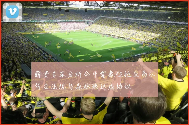 薪资专家分析公牛需象征性交易以符合法规与森林狼达成协议